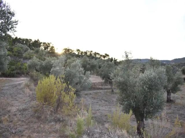Casa en venta en Matarraña / Matarranya, Valderrobres