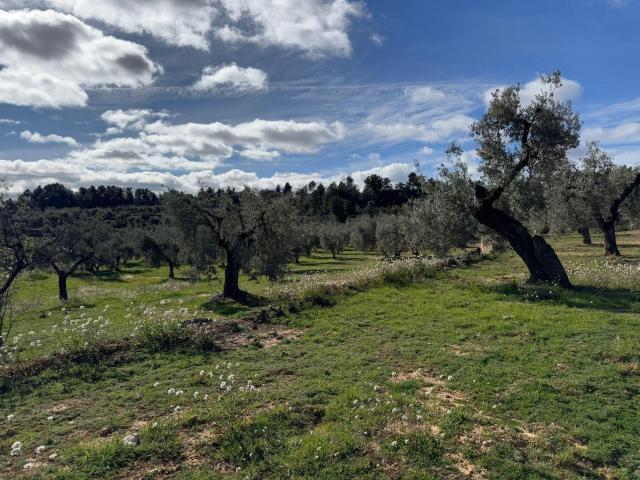 Casa en venta en Matarraña / Matarranya, Valderrobres
