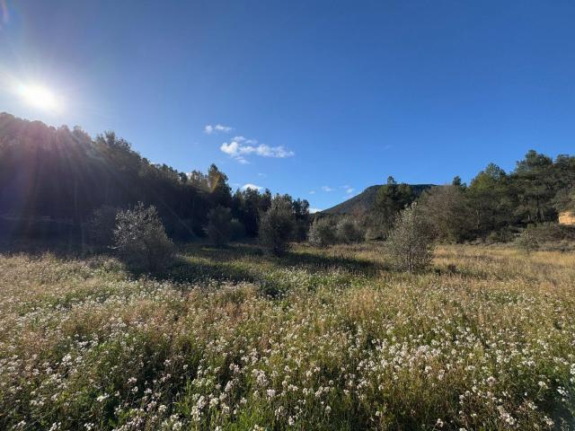 Casa en venta en Valderrobres