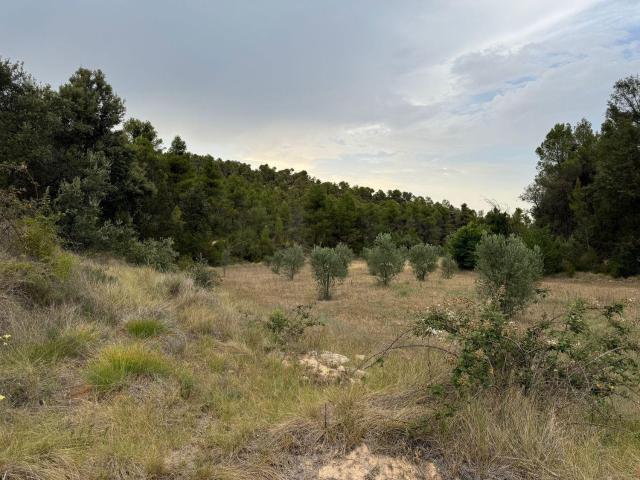 Casa en venta en Matarraña / Matarranya, Valderrobres