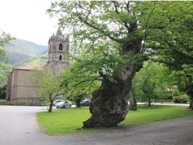 Casa en venta en Cabuérniga, Cantabria