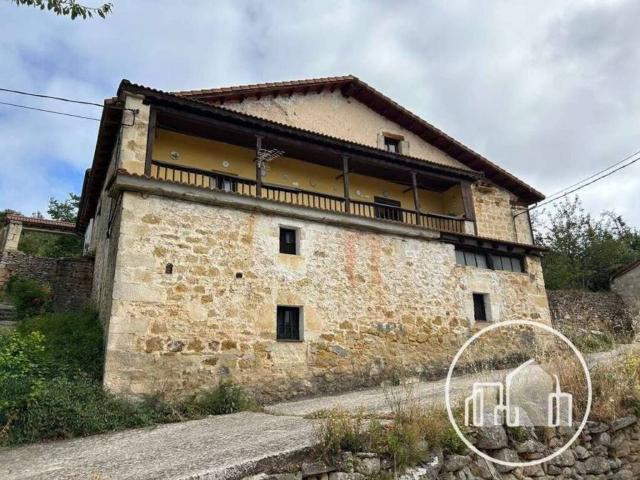 Casa en venta en Valle De Valdebezana, Castilla y León
