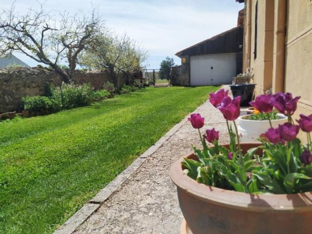 Casa en venta en Valle De Valdelucio, Castilla y León