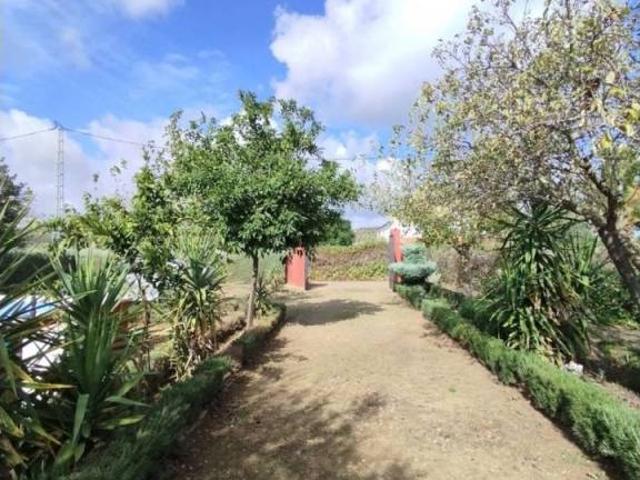 Casa en venta en Valverde De Mérida, Extremadura
