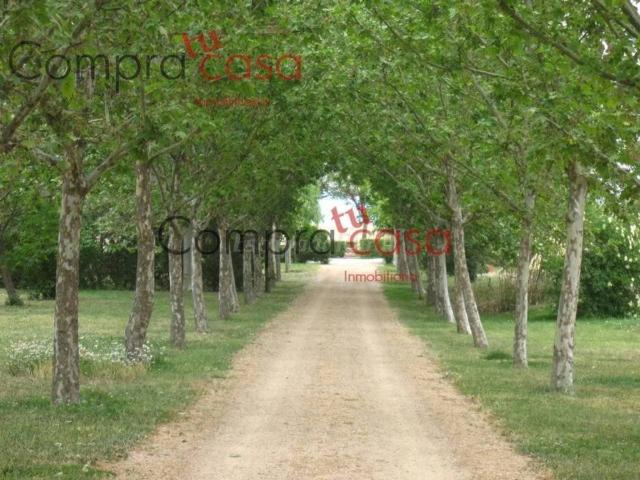 Casa en venta en Valverde Del Majano, Castilla y León