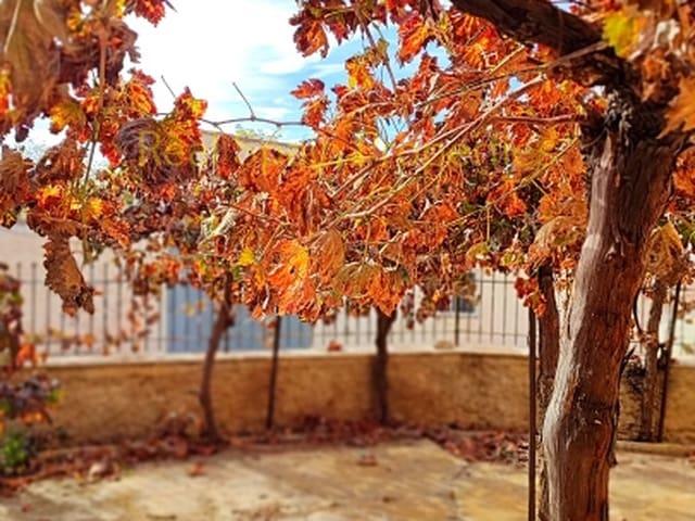 Casa en venta en Comarca de Baza, Andalucía