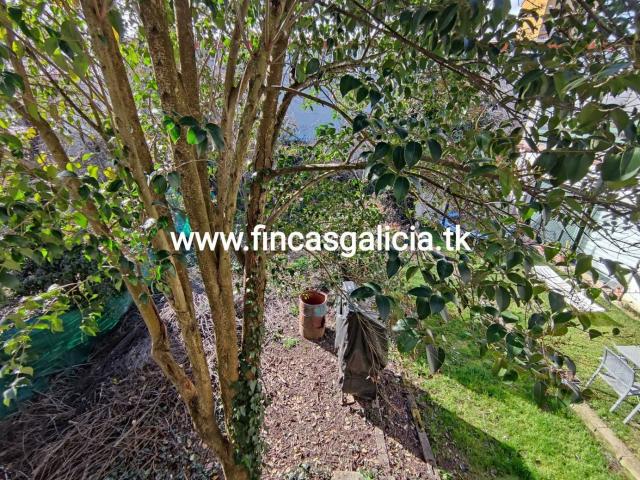 Casa en venta en Verín