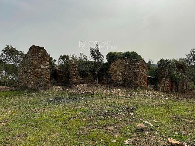 Casa en venta en Cruïlles Monells I Sant Sadurní De L'heura, Mas Savalls