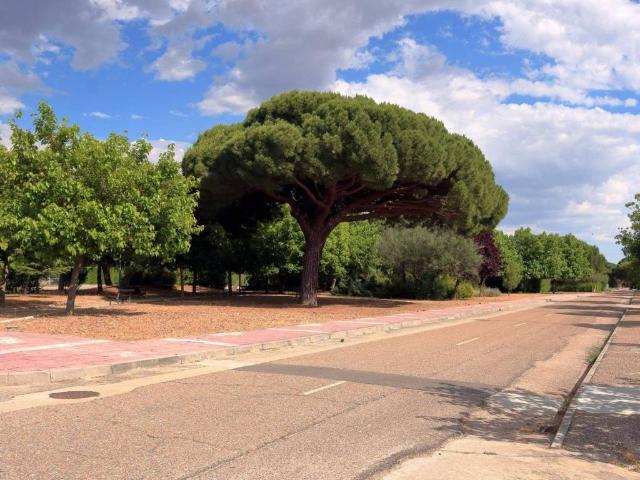 Casa en venta en Viana De Cega, Castilla y León