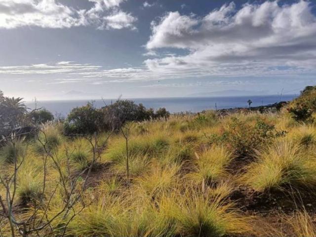 Casa en venta en Villa de Mazo, Canarias