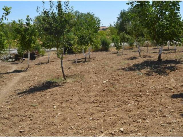 Casa en venta en Villar De Cañas, Castilla-La Mancha