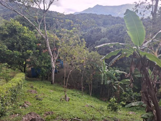 Casa En Venta En Villeta En. V228712