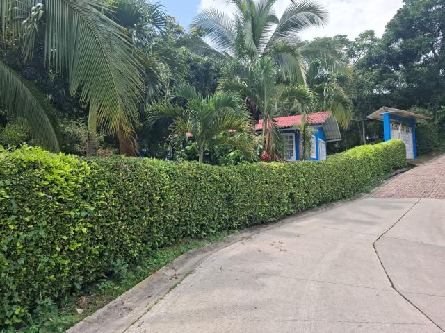 Casa En Venta En Villeta En. V228712