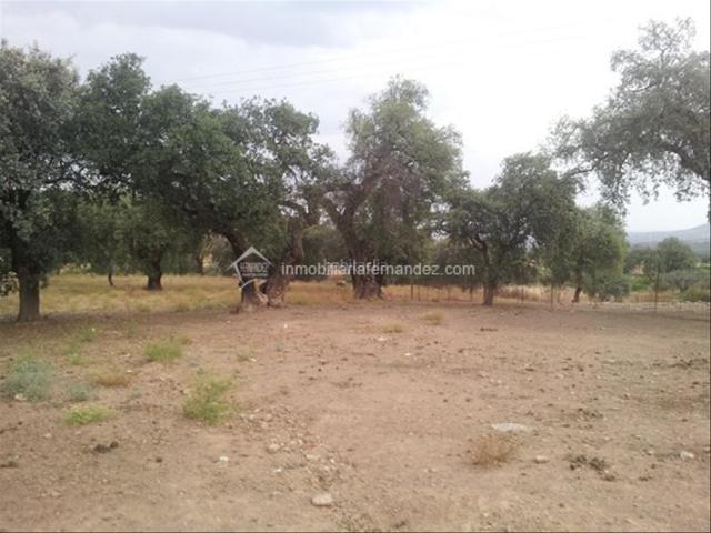 Casa en venta en Zarza De Montánchez, Cáceres