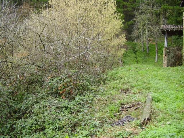 Casa en venta en Zeanuri, Guipúzcoa
