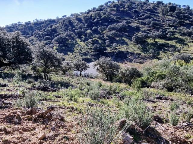 Casa en venta en Sierra de Huelva, Andalucía