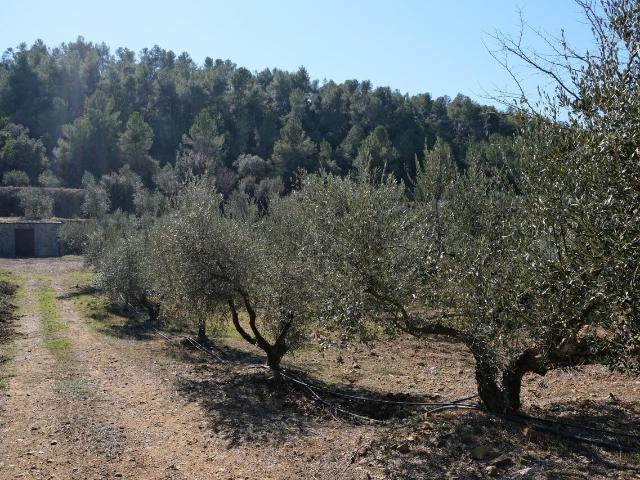 Chalet en venta en Priorat, Catalunya