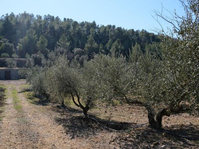 Chalet en venta en Priorat, Catalunya