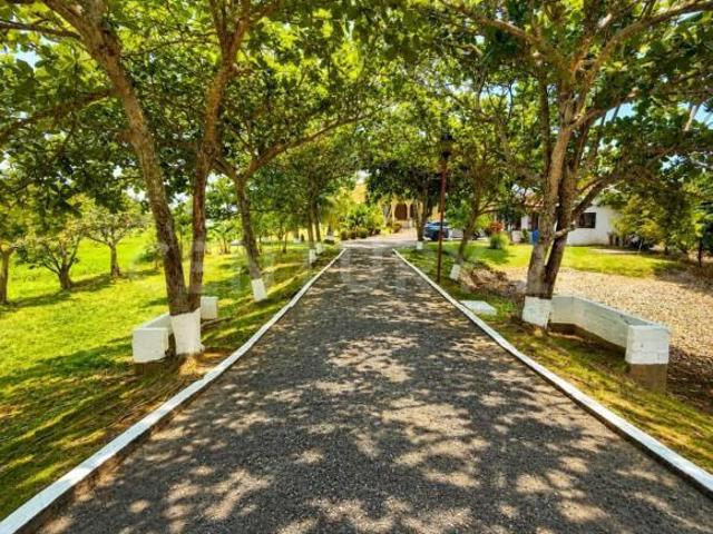 Casa en venta en Tlacotalpan, Veracruz