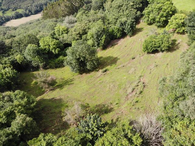 Chalet en venta en Grado, Asturias