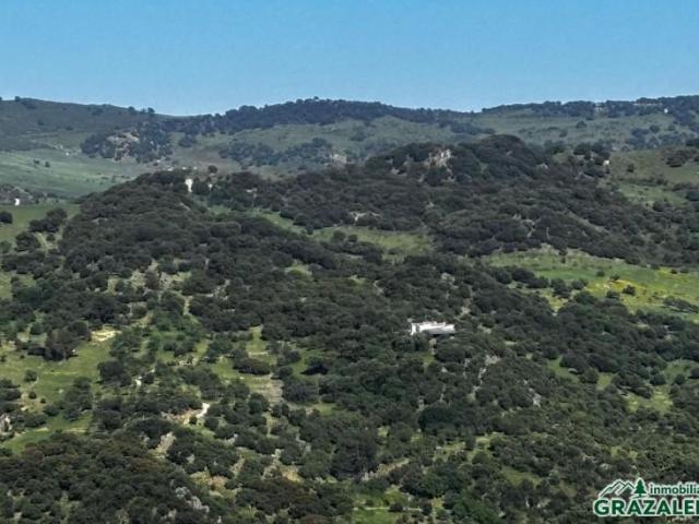 Casa en venta en Sierra de Cádiz, Andalucía