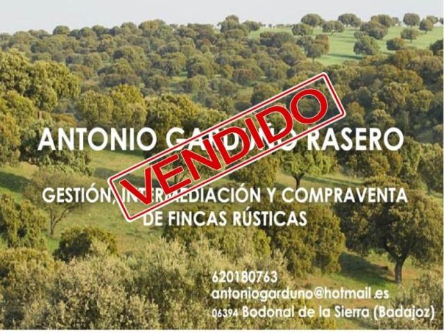 Casa en venta en Llerena, Extremadura