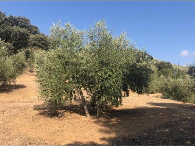 Casa en venta en Comarca de Loja, Andalucía