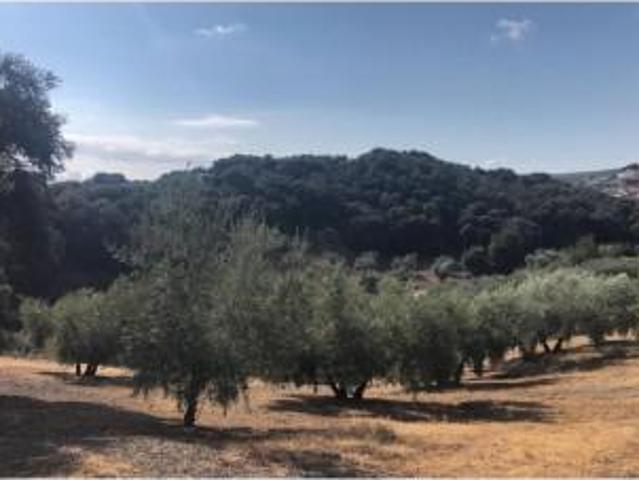 Casa en venta en Comarca de Loja, Andalucía