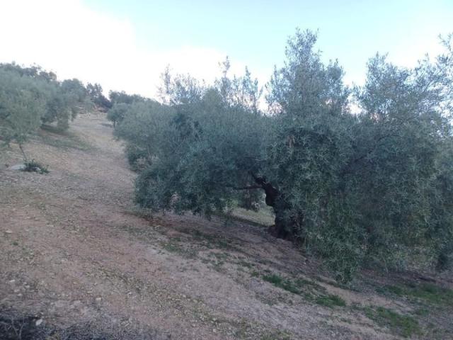 Casa en venta en Comarca de Guadix, Andalucía