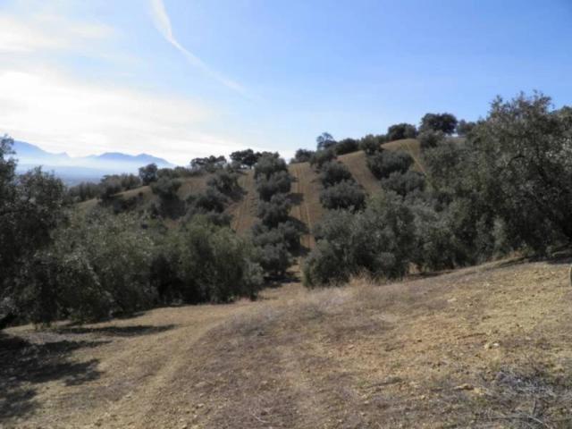 Casa en venta en Comarca de Loja, Andalucía