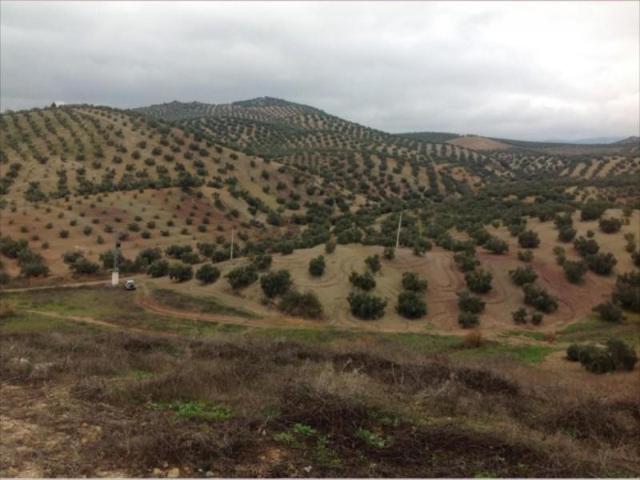 Casa en venta en Campo de Aras, Lucena