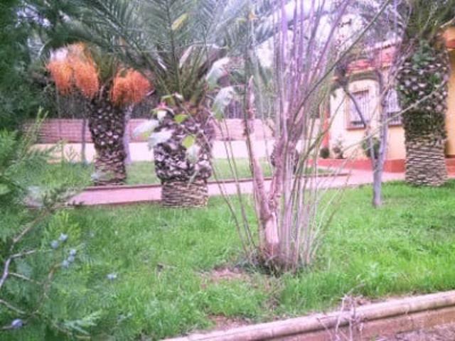 Casa en venta en Mairena Del Alcor, Andalucía