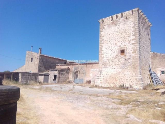Casa en venta en Ciutat Jardí, Palma