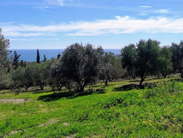Casa en venta en Castillo de la Duquesa, Costa del Sol Occidental