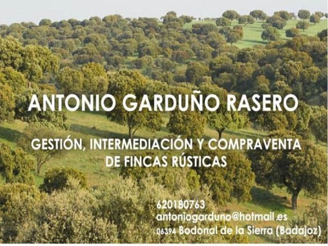 Casa en venta en Monesterio, Extremadura