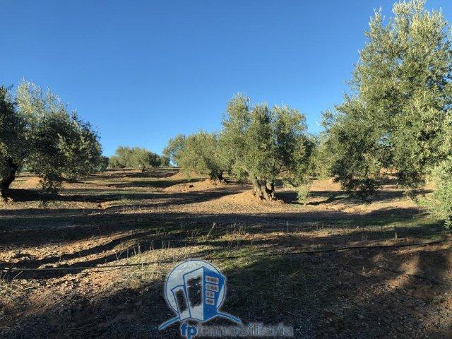 Casa en venta en Montizón, Andalucía