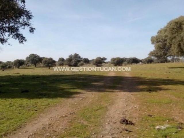 Casa en venta en Parrillas, Castilla-La Mancha