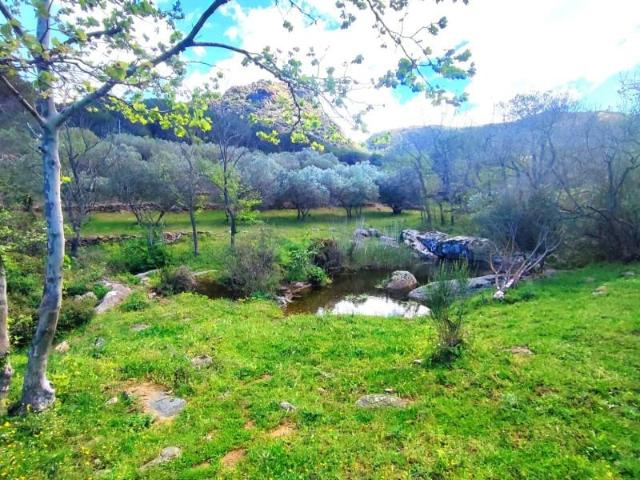 Casa en venta en Alt Empordà, Catalunya