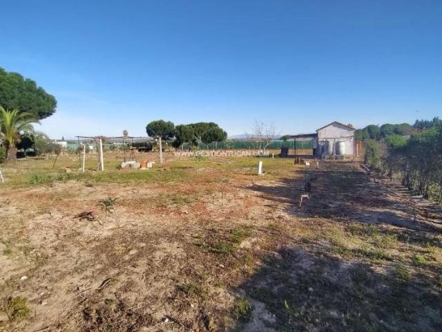 Casa en venta en Pepino, Castilla-La Mancha