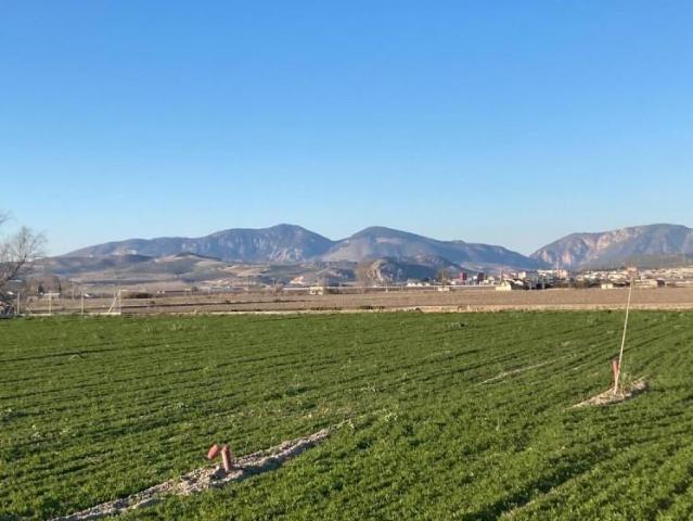 Casa en venta en Romilla, Comarca de la Vega de Granada
