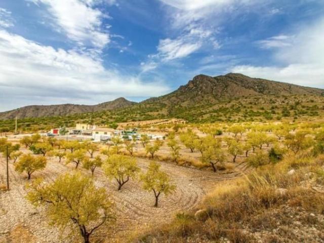 Casa en venta en el Vinalopó Mitjà / El Vinalopó Medio, Valencia