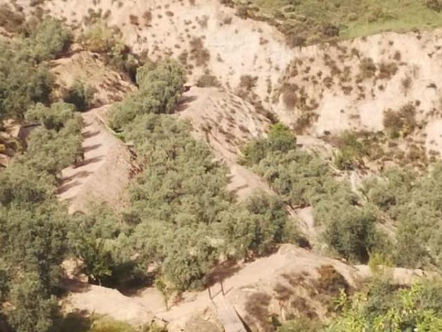 Casa en venta en Comarca del Valle de Lecrín, Andalucía