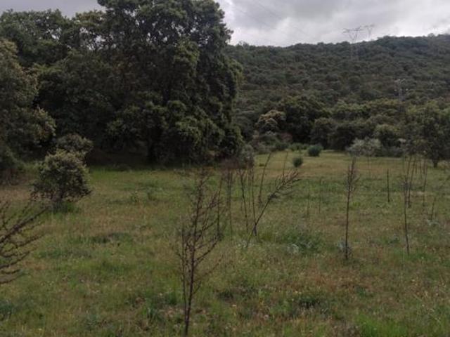 Casa en venta en Casas Del Castañar, Extremadura