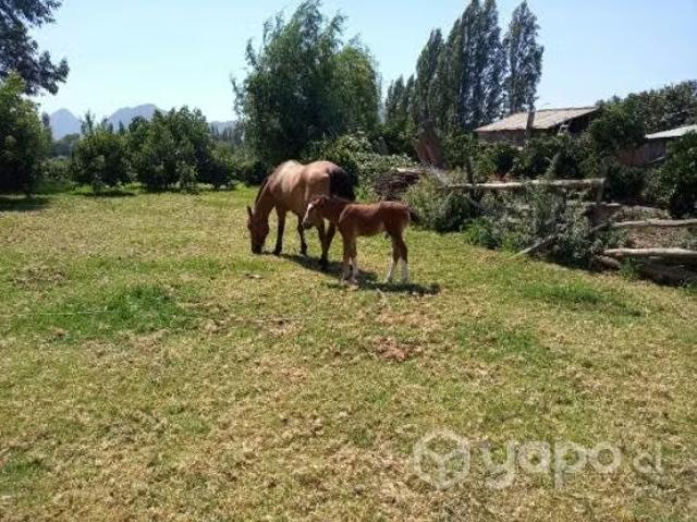 Casa en venta en San Vicente, Libertador General Bernardo O'higgins