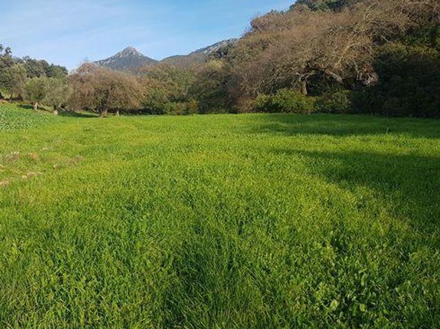 Casa en venta en Sierra de Cádiz, Andalucía