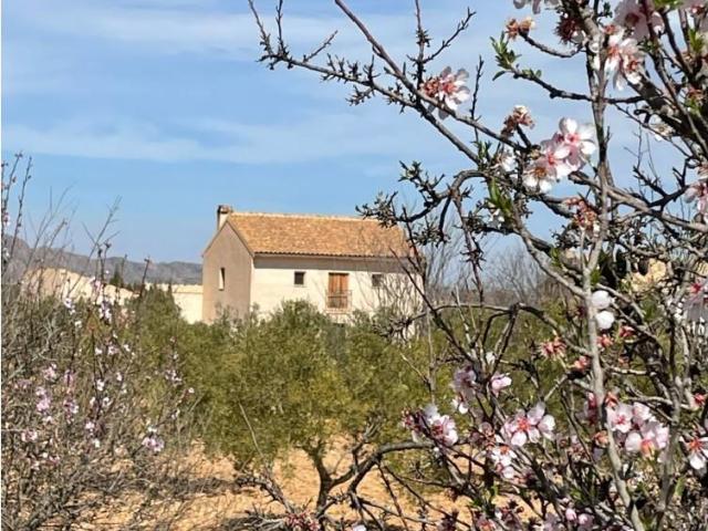 Casa en venta en el Sequer, el Vinalopó Mitjà / El Vinalopó Medio