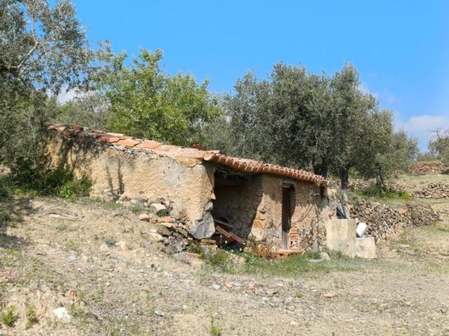 Casa en venta en Baix Camp, Catalunya