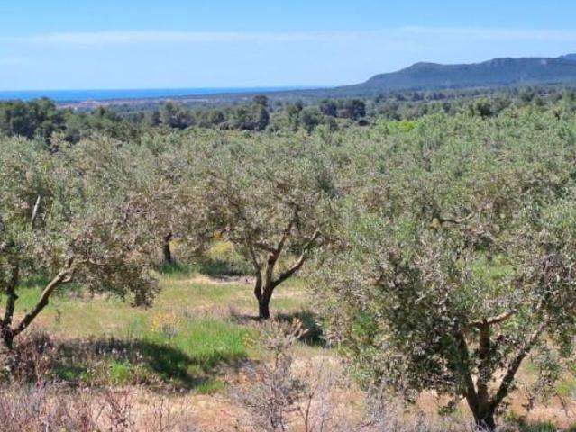 Casa en venta en Baix Camp, Catalunya