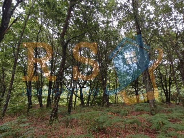 Casa en venta en Sarria, Veiga de Abaixo