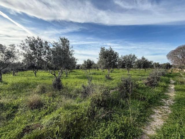 Casa en venta en Raiguer, Baleares